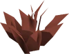Red herb detail