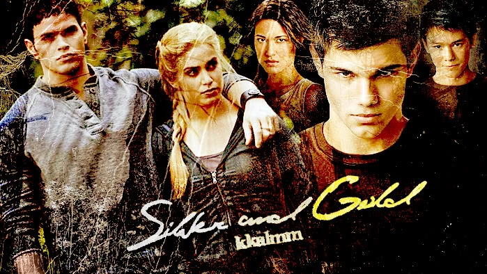 SilverandGoldbykkalmm
