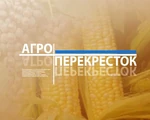 Агроперекресток (РГВК Дагестан)