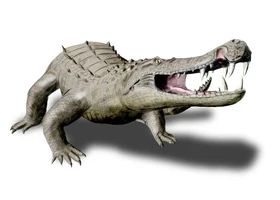Ksaharicus restoration