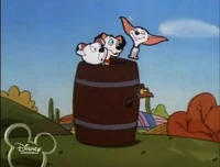 Flying dog