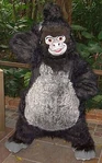 Terk parque