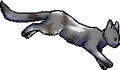 Wing.ph