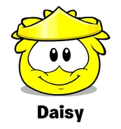 Daisypuffle