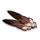 Falcon Feathers-icon