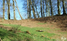 New Lanark graveyard