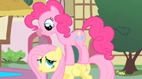 Fluttershy "excuse me" S01E22