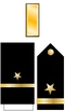 Cpl Insignia (STN)