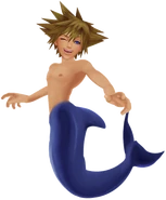 Sora (atlantica)