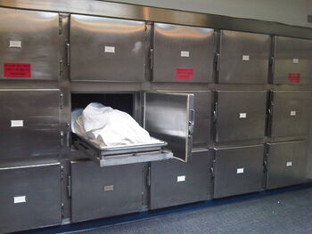 Morgue (1)