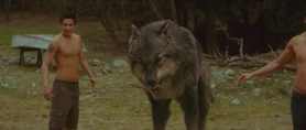 PaulWolf