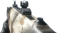 G11 Nevada BO