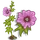 Pink Hollyhock-icon