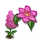 Pyramidal Orchid-icon