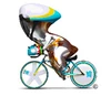 Cycling-track