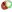 BioBrain icon