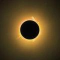 Delos coronae.jpg