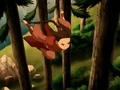 Ty Lee's evasiveness.png