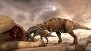 PDMapusaurus
