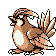 Pidgeotto V