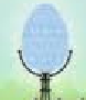 World egg