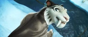 Shira smiling