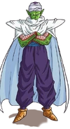 Piccolo2013