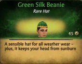 GreenSilkBeanieFemale