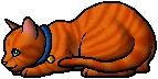 Firestar.kit