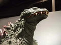Dscf2248