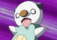 Oshawott