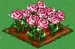 Glass Rose extra100