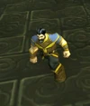 ThunderHoldLaborer