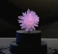 Microbrain.jpg