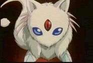 Fujin's Spirit