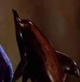 Dolphin sculpture.jpg