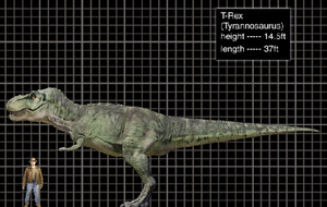 TRex-1-