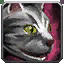 Inv_pet_cats_silvertabbycat.png