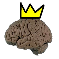 KingBwains