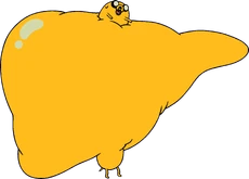 JakeasaBigLiver
