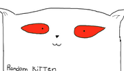 RANDOM KITTEN