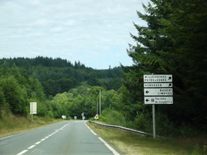 D36 (19) (1)