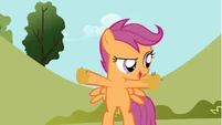 Scootaloo 'She's not afraid of anything!' S1E23
