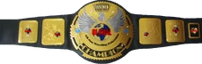 ASWFglobalsilver