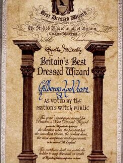 Britain's Best Dressed Wizard Award