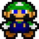 SMALL LUIGI