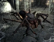 Wounded Frostbite Spider