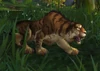 WaryForestProwler