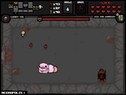 Pink Carion Queen