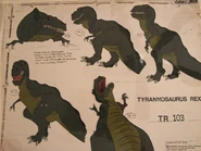 Sharptooth concepts